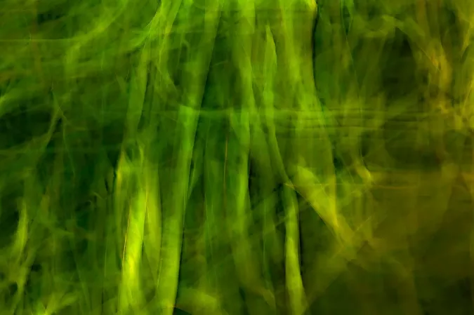 Autumnal Colors Copy - 103