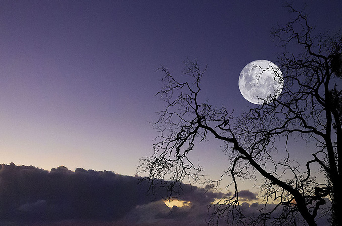 Mountain Moon
