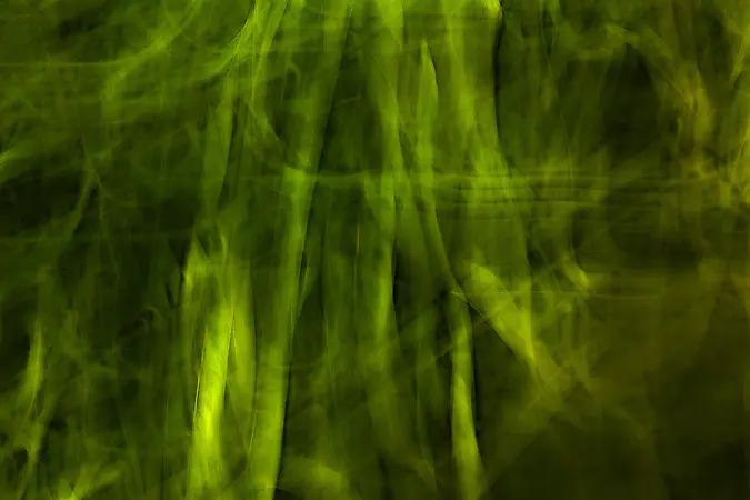 Tangled
